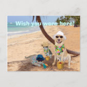 Wünscht, ihr wäret hier! postkarte (Vorderseite)