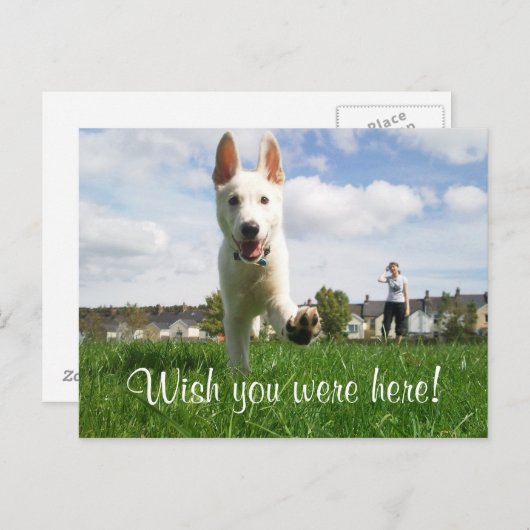 Wünscht, ihr wäret hier! postkarte (Vorne/Hinten)