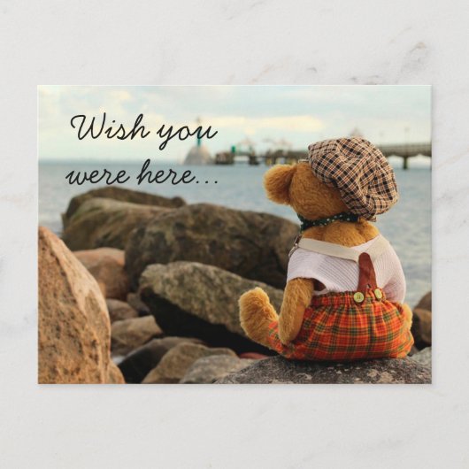 Wünscht, ihr wäret hier Teddy Bear? Postkarte (Vorderseite)