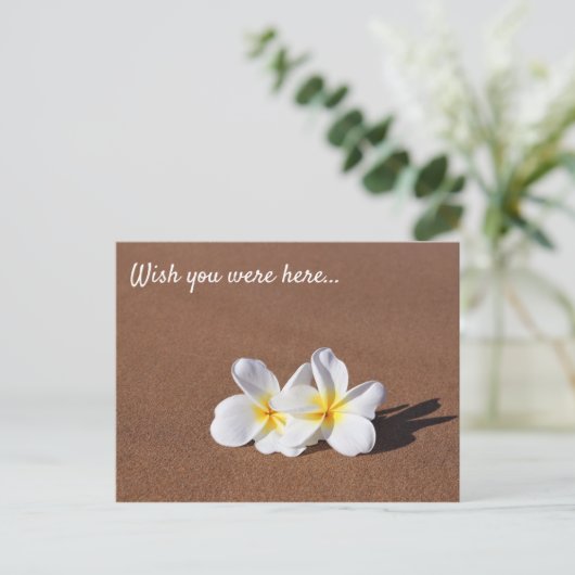 Wünscht, ihr wäret hier White Plumeria Maui Postca Postkarte (Stehend Vorderseite)