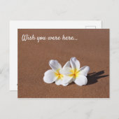 Wünscht, ihr wäret hier White Plumeria Maui Postca Postkarte (Vorne/Hinten)