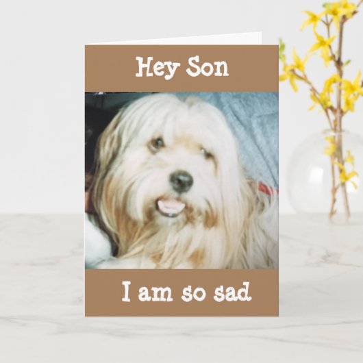 WÜNSCHTE, DAS WAR IN PERSON SON "GLÜCKLICHER GEBUR KARTE (Gelbe Blume)