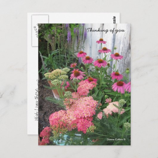 Wünschte, ich wäre dort Postkarte (Vorne/Hinten)