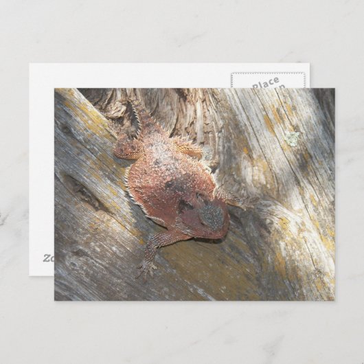 wurde der Name in "Strawberry" geändert. Postkarte (Vorne/Hinten)