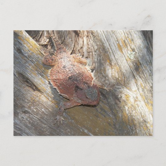 wurde der Name in "Strawberry" geändert. Postkarte (Vorderseite)