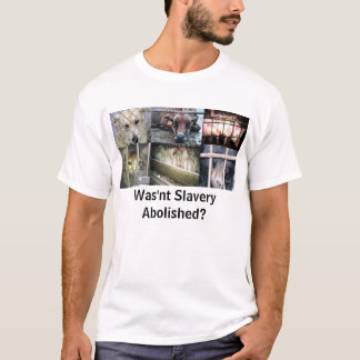 Wurde nicht Sklaverei abgeschafft? T-Shirt