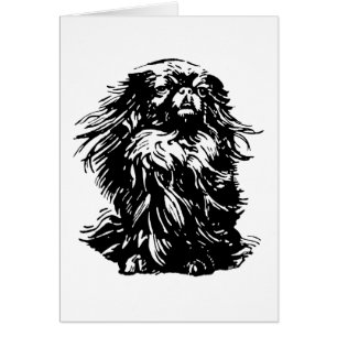 Würde Pekingese