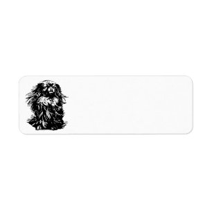 Würde Pekingese