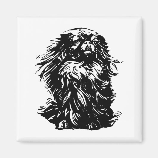Würde Pekingese Magnet (Vorne)