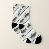 Wurden Sie gefangen? Catfish Query Spaß Socken (Paar)