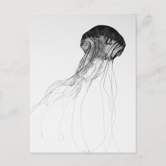 Würdevolle Quallen Postkarte (Vorderseite)