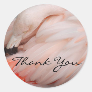 Würdevoller Flamingo danken Ihnen Runder Aufkleber