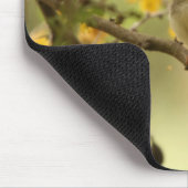 Würdevoller Prinia Mousepad (Ecke)