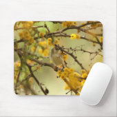 Würdevoller Prinia Mousepad (Mit Mouse)