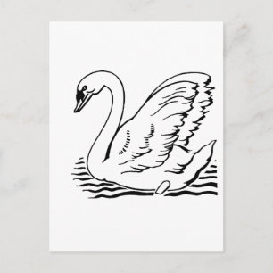 Würdevoller Schwan Postkarte