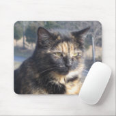 Würdige Katze Mousepad (Mit Mouse)