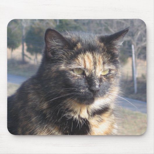Würdige Katze Mousepad (Vorne)