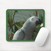 Würdiger afrikanisches Grau-Papagei Mousepad (Mit Mouse)