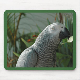 Würdiger afrikanisches Grau-Papagei Mousepad