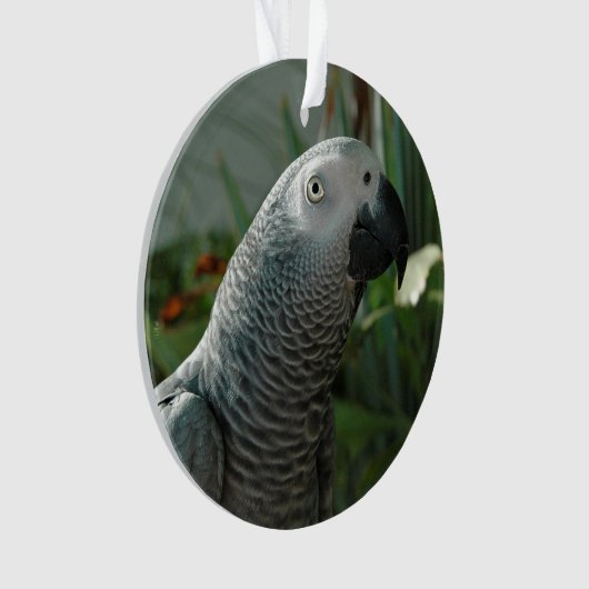 Würdiger afrikanisches Grau-Papagei Ornament (Vorderseite)