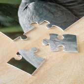 Würdiger afrikanisches Grau-Papagei Puzzle (Seite)