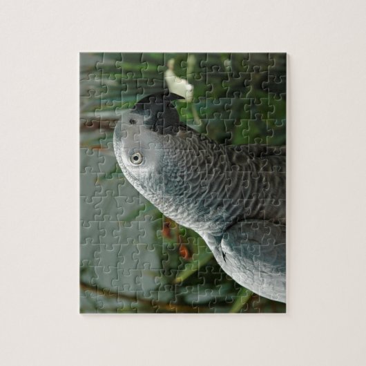 Würdiger afrikanisches Grau-Papagei Puzzle (Vertikal)