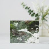 Würfel fressen Fisch Postkarte (Stehend Vorderseite)