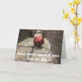 Würfel sind Beileid-Karte Karte (Gelbe Blume)