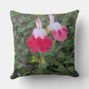 Wurfkissen-Blumenserie -Hot Lips salvia Kissen