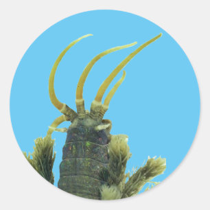 Wurm-Aufkleber 1 Runder Aufkleber