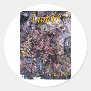 Wurm-Fest Runder Aufkleber