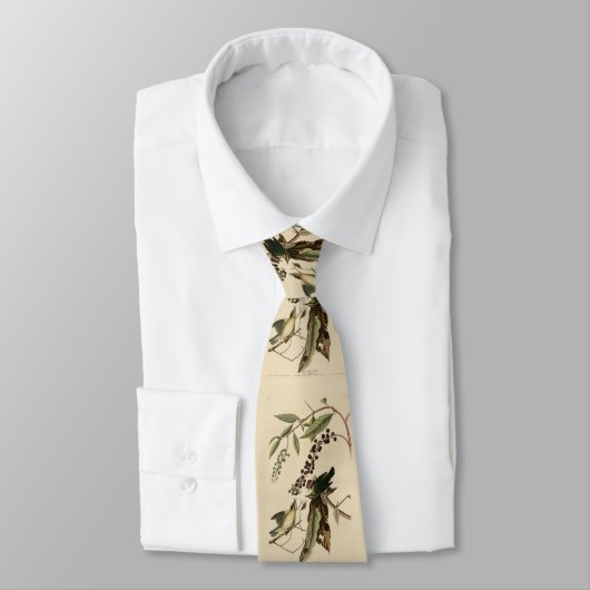 Wurm frisst Warbler - Audubons Vögel in Amerika Krawatte (Gebunden)