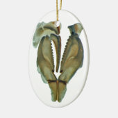 Wurm-Kiefer-ovale Weihnachtsverzierung Keramikornament (Links)