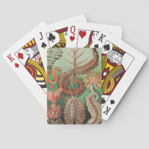Würmer, Anneliden Chaetopoda von Ernst Haeckel Spielkarten