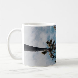 Würmer Augenansicht Fotografie von Kokospalmen Kaffeetasse