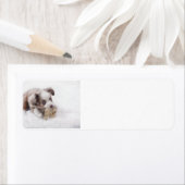 Wurstlerpup (Insitu)