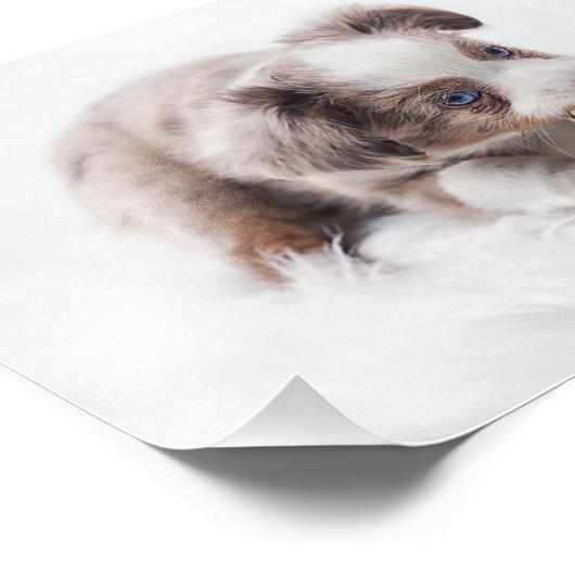 Wurstlerpup Fotodruck (Ecke)