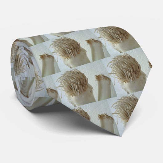 Wurzel des Porrees, Gemüse, gesunde rohe weiße Krawatte (Gerollt)