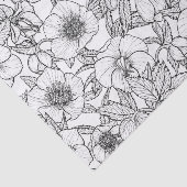 Wurzelbohrungen in Schwarzweiß Seidenpapier (Ausschnitt)