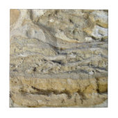 Wurzelfossilien im Kalkstein-Uferdamm Fliese (Vorderseite)