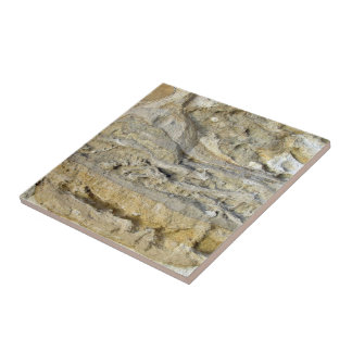 Wurzelfossilien im Kalkstein-Uferdamm Fliese
