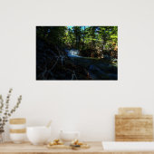 Wurzeln an den Wasserfällen Poster (Küche)