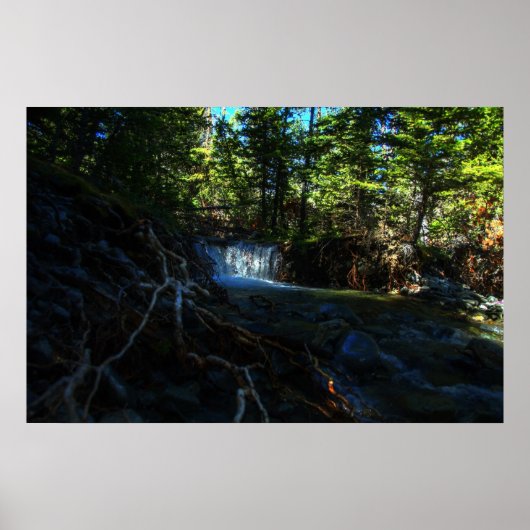 Wurzeln an den Wasserfällen Poster (Vorne)