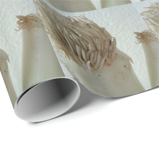 Wurzeln aus Lauch, Gemüse, gesundes, rohes weißes Geschenkpapier (Rolleneckpunkt)