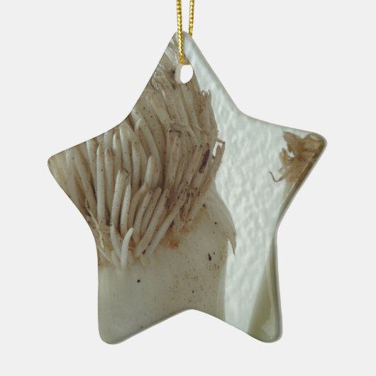 Wurzeln aus Lauch, Gemüse, gesundes, rohes weißes Keramikornament (Links)