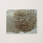 Wurzeln aus Lauch, Gemüse, gesundes, rohes weißes Puzzle (Horizontal)