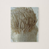 Wurzeln aus Lauch, Gemüse, gesundes, rohes weißes Puzzle (Vertikal)