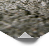 Wurzeln der Errungenschaft Inspiration Poster Prin (Ecke)