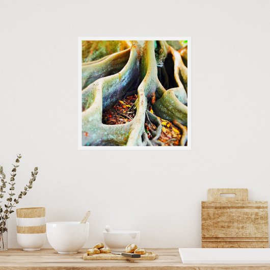 Wurzeln der Moreton-Bucht Poster (Küche)