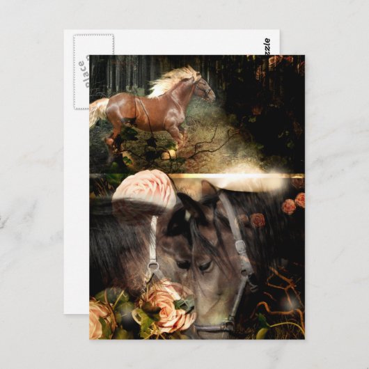 Wurzeln in Gottes Liebe Postkarte (Vorne/Hinten)